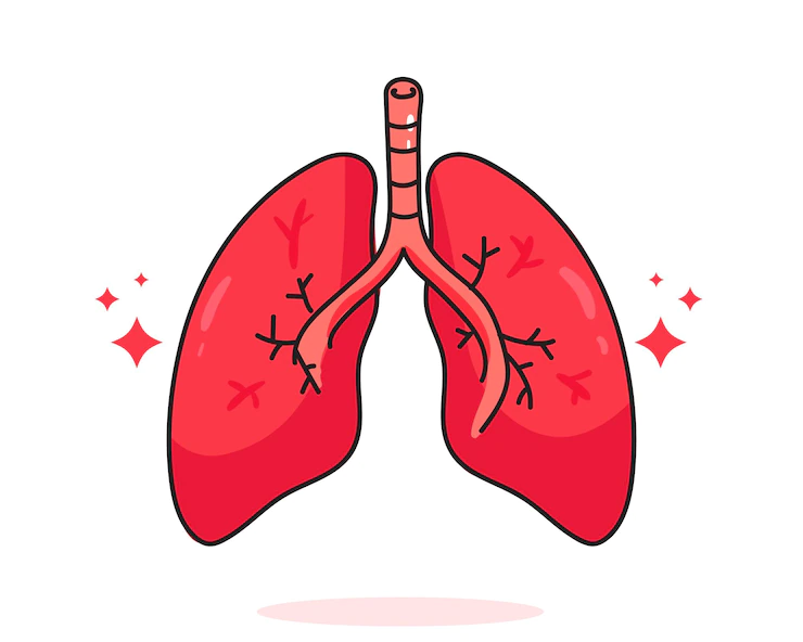 Symptoms of Pulmonology